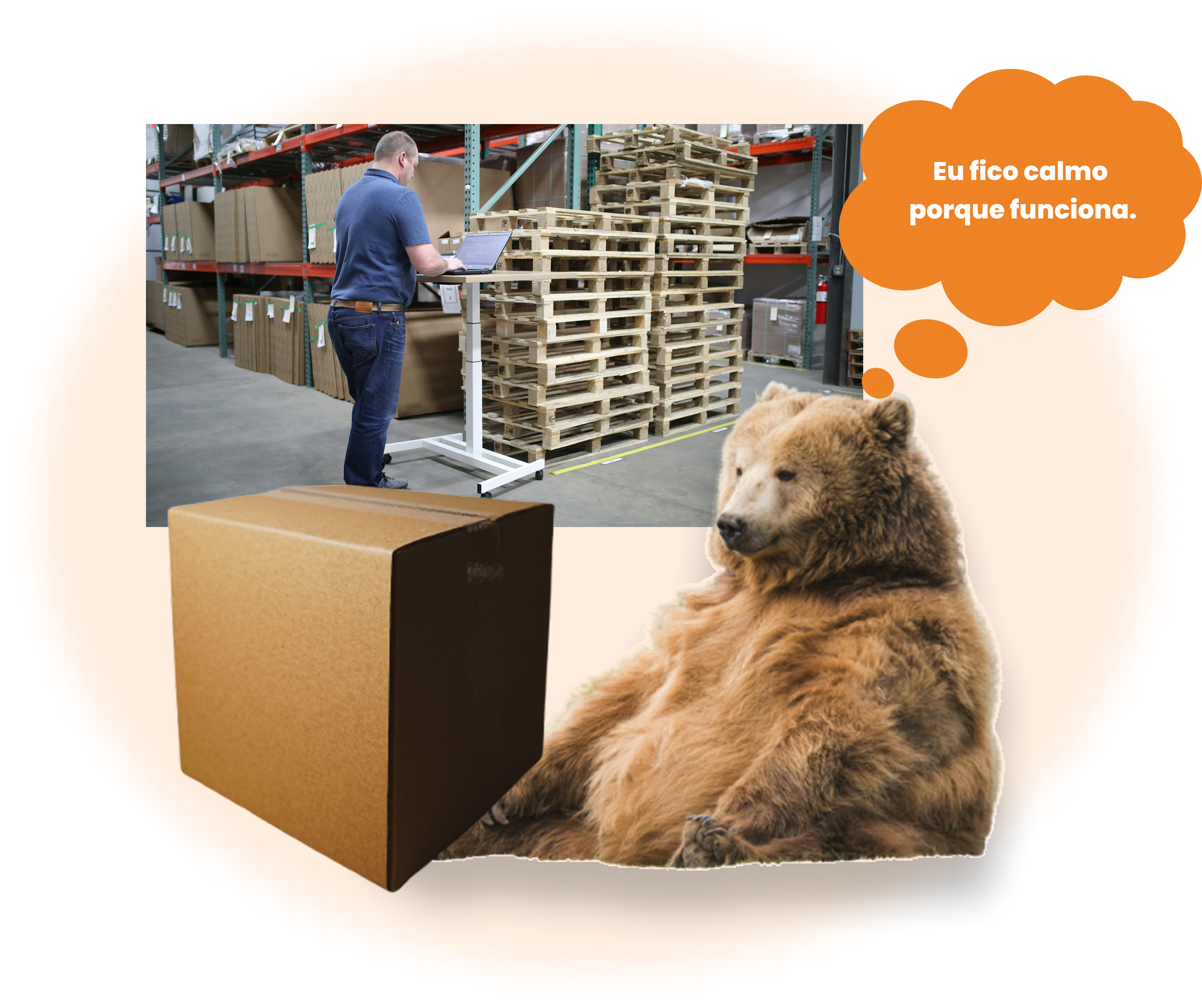 Bearlog fulfillment SC Floripa da