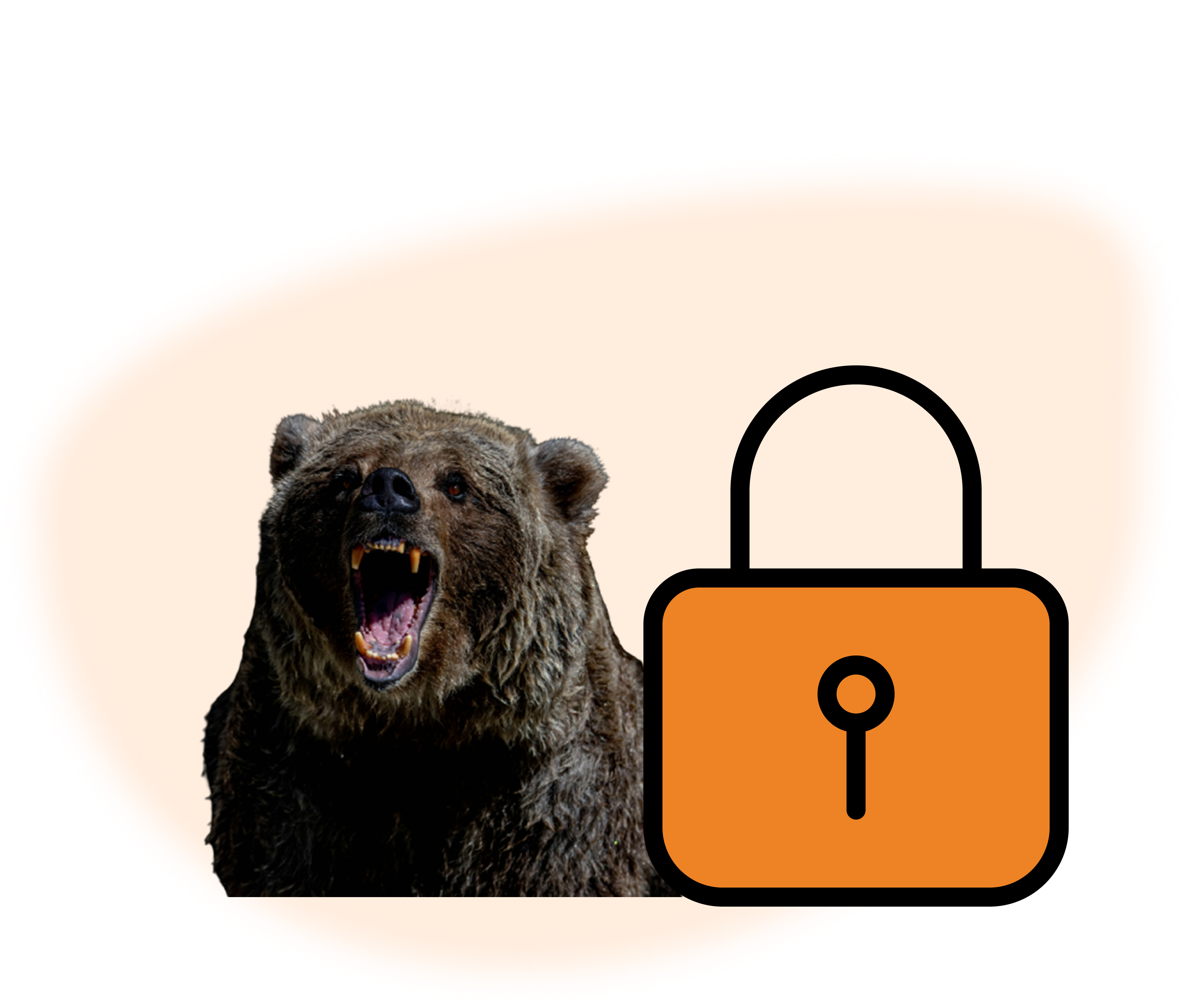 Garantia BearLog
